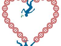 Herz aus DNA-Strang