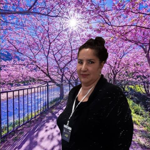 Profilbild